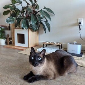 Meet your Posher, Betsy